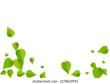 Green Leaves Abstract Vector White Background Pattern. Organic Greens Border. Forest Foliage Herbal Concept. Leaf Tea Branch.