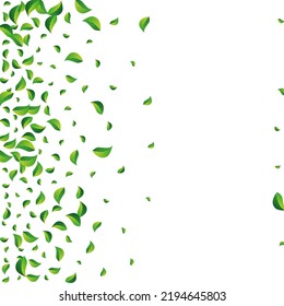 Green Leaves Abstract Vector White Background. Wind Foliage Backdrop. Mint Greens Blur Concept. Leaf Swirl Pattern.