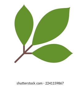 Green leaves of ash tree isolated on white background. Vector illustration.