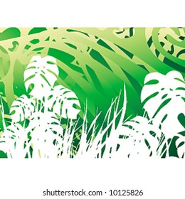 green leaves background