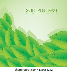 Green leaves background