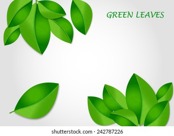 green leaves background