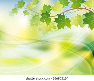 green leaves background