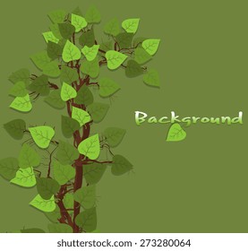 Green Leaves Background