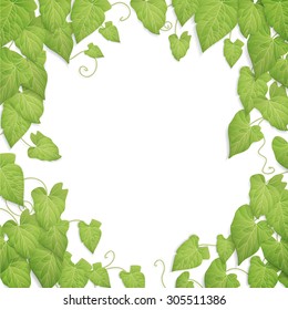 Green leaves background