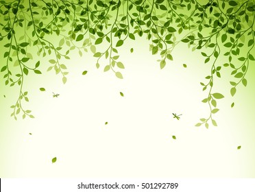 Green leaves background