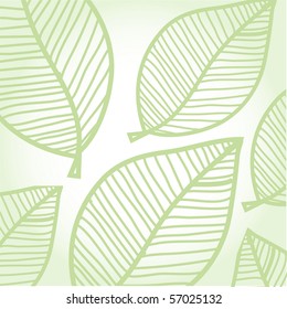 Green leaves background