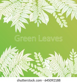 Green leaves background