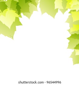 green leaves background