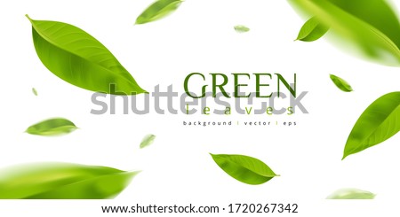 Green leaves background 3d illustration vector