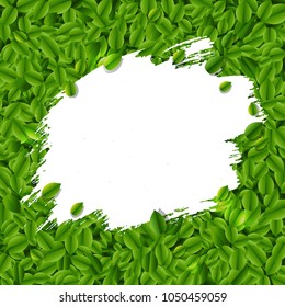 Grüne Blätter, Hintergrund mit Grundstück, Vektorgrafik