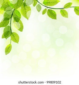 Green Leaves Background With Bokeh, Vector Illustration