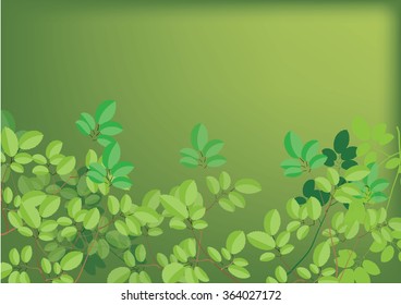 green leaves for background or border 
