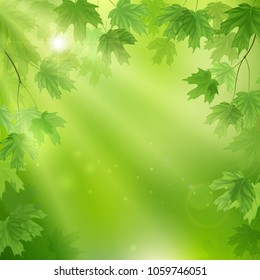 Green leaves background. Eco design template. Summer illustration with maple leaves.