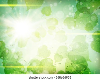 Green leaves background. EPS 10 vector file included