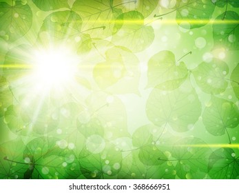 Green leaves background. EPS 10 vector file included