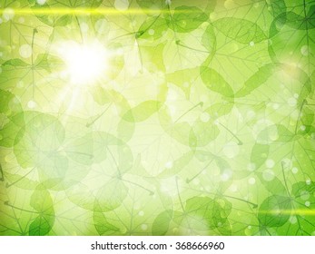 Green leaves background. EPS 10 vector file included