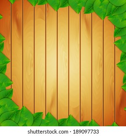 Green leaves background. EPS10 vector