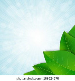 Green leaves background. EPS10 vector