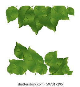 green leaves background icon, vector illustraction design