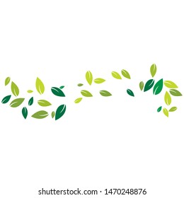 Green leaves background ilustration template
