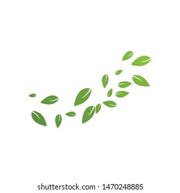 Green leaves background ilustration template
