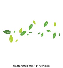 Green leaves background ilustration template
