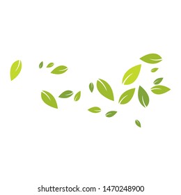 Green leaves background ilustration template
