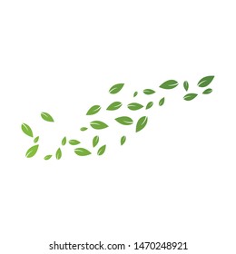 Green leaves background ilustration template
