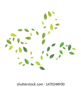 Green leaves background ilustration template
