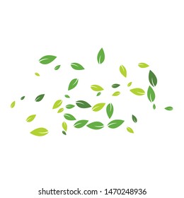 Green leaves background ilustration template
 - Shutterstock ID 1470248936
