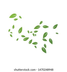 Green leaves background ilustration template
