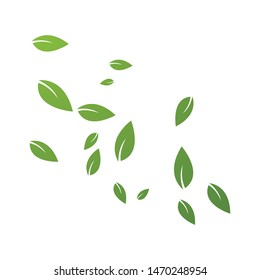 Green leaves background ilustration template
