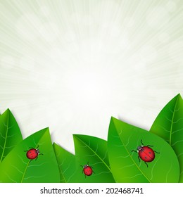 Green leaves background with ladybugs. EPS10 vector
