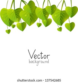 Green leaves background with place for text 2