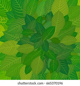 Green leaves. Background for postcard, poster, brochure