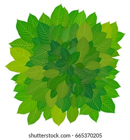 Green leaves. Background for postcard, poster, brochure