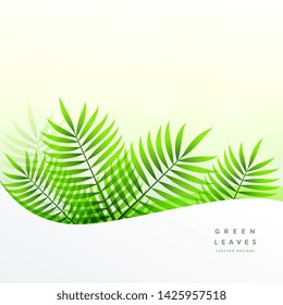 green leaves background with text space