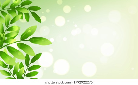 grüne Blätter, Hintergrund