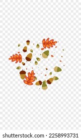 Green Leaves Background Transparent Vector. Acorn Symbol Texture. Golden Oak. Pattern Design. Brown Leaf Floral.