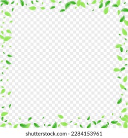Green Leaves Background Transparent Vector. Vegetation Border Illustration. Vivid Card. Greenish Grow Texture. Sheet Element.