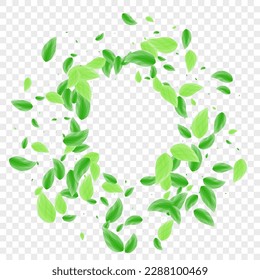 Green Leaves Background Transparent Vector. Plant Eucalyptus Card. Style Texture. Light Green Mint Design. Leaf Border.