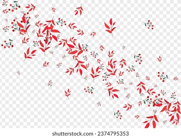 Green Leaves Background Transparent Vector. Herb Banner Template. Red Rowan. Burgundy Leaf Wallpaper. Symbol Set.