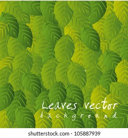 green leaves background. vector illustration