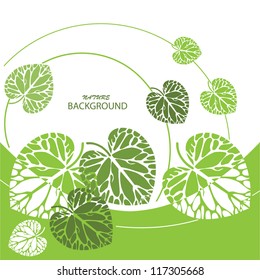 Green leaves background, vector illustration