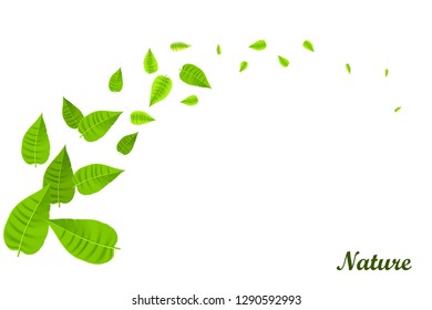 green leaves background, vector illustration isolated on white