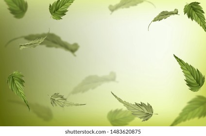 green leaves background vector illustration