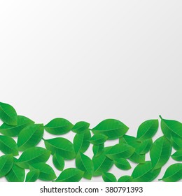Green leaves background. Vector illustration.