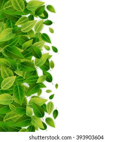 Green leaves background, vector illustration