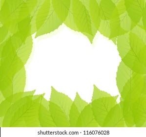 Green leaves background vector template